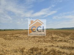 Bacau, Soseaua Holt- Saucesti, teren intravilan 50.000 mp