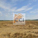 Bacau, Soseaua Holt- Saucesti, teren intravilan 50.000 mp